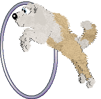 Charmme/Poppyhill's Where the Light Lingers — “Immy”