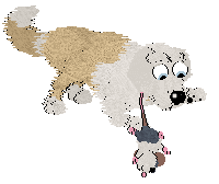 Charmme/Poppyhill's Where the Light Lingers — “Immy”