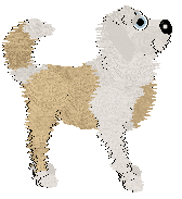 Charmme/Poppyhill's Where the Light Lingers — “Immy”