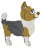 Pachelbel's Modern Bravado — “Macho”