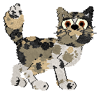 King's Lost Marbles at Perfume — “Marbles”