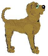 Cargo/Witz's Results Require Review — “Central”