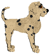 Haylie/Witz's Worth the Time — “Jussi”