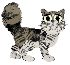 Funfetti's Wild Roots — “Angelica”