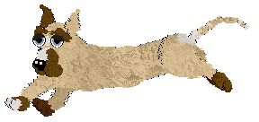 Profile image of NSP's Short Stack at Vanilla