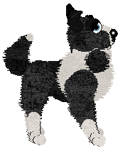 Cirrutopia's I Mustache You To Stay at Vanilla — “Stash”