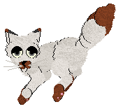 Profile image of Vanilla's Burnt Ends