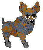 Cirrutopia's Wild Again at Vanilla — “Bronco”