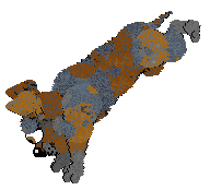 Profile image of Cirrutopia's Wild Again at Vanilla