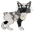 Ferality's Marry a Music Man — “Music”