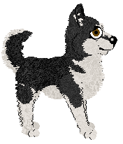 Pachelbel's Urban Shine — “Sterling”