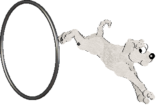 Ephemera Morning Mr Magpie — “Early”