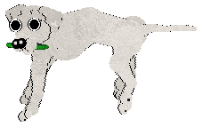 Ephemera Morning Mr Magpie — “Early”