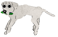 Ephemera Morning Mr Magpie — “Early”