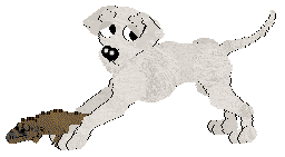 Ephemera Morning Mr Magpie — “Early”