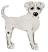 Ephemera Morning Mr Magpie — “Early”