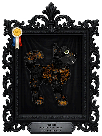 Profile image of Dh's In Whom I Dream Angels