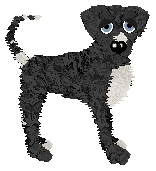 Black Mist/Dh's Pitch Black — “Pitch”