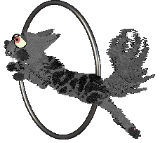 Dh's Thicket of Thorns — “Willow”