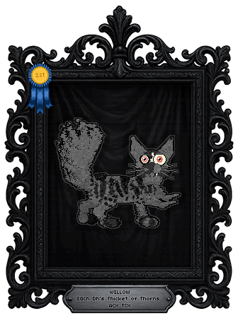 Profile image of Dh's Thicket of Thorns