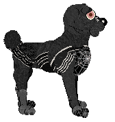 FDL/Dh's Silver Sin — “Silkweb”