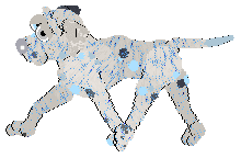 Profile image of Xoops' Seasonal Sparkle at Vanilla