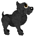 EC's Chemical Smile — “Sarah Tonin”