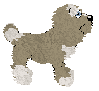 Dh's Long Road Home — “Baxter”