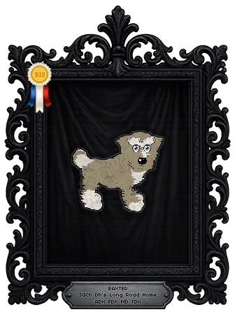 Profile image of Dh's Long Road Home