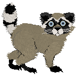 Hextraordinary/Dh's Bin Bandit — “Bruiser”