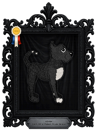 Profile image of Dh's Fallen From Grace