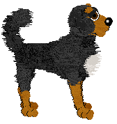 Dh's Smoke & Mirrors — “Smokey”