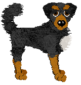 Dh's Smoke & Mirrors — “Smokey”