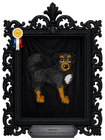 Profile image of Dh's Smoke & Mirrors