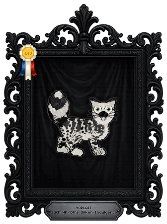 Profile image of HK/Dh's Silken Indulgence