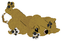 EC's Amateur Hieroglyph — “Ibizan”