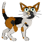 Calluna/FDL's Can't Touch This — “Cactus”