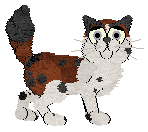 Profile image of King/FDL's Shoo Fly, Don't Bother Me