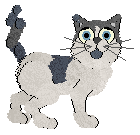 Profile image of Witz/FDL's Del Sol Valley Celebrity