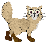 Profile image of FDL's Needles and Yarn