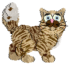 Profile image of FDL's Aotora Flower