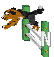 Sz/Poppyhill's Good Gourd — “Casperita”