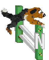 Sz/Poppyhill's Good Gourd — “Casperita”