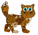 Amphigory/Calluna's Roadshow Antique — “Antiqua”