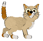 Wild Road's Peace Somehow — “Hollia”