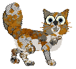 Cirrutopia's Thank U, Next at Wild Road — “Pardi”