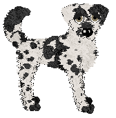 Wild Road's Ubuntu — “Linux”