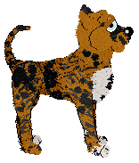 Funfetti's Just My Type at Wild Road — “Marmaloo”