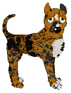 Profile image of Funfetti's Just My Type at Wild Road