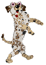 M_M's The Girl In The Corner, Let No One Ignore Her — “Ballroom Blitz”